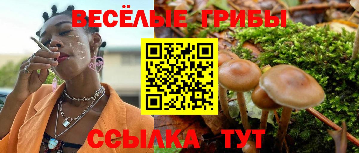 Галлюциногенные грибы MAGIC MUSHROOMS  Вход с VPN  Владимир 