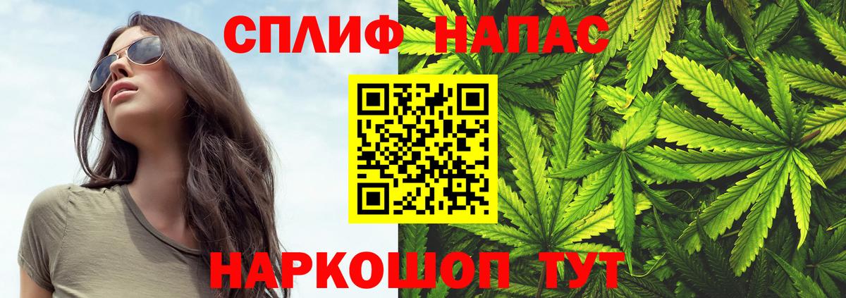 Канабис планчик Владимир